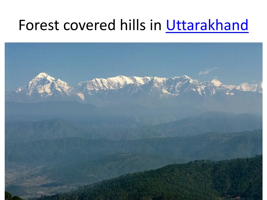 forest covered hills in uttarakhand