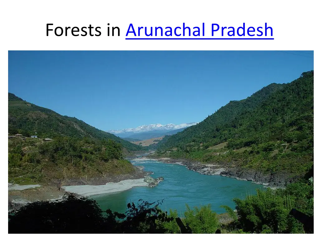 forests in arunachal pradesh