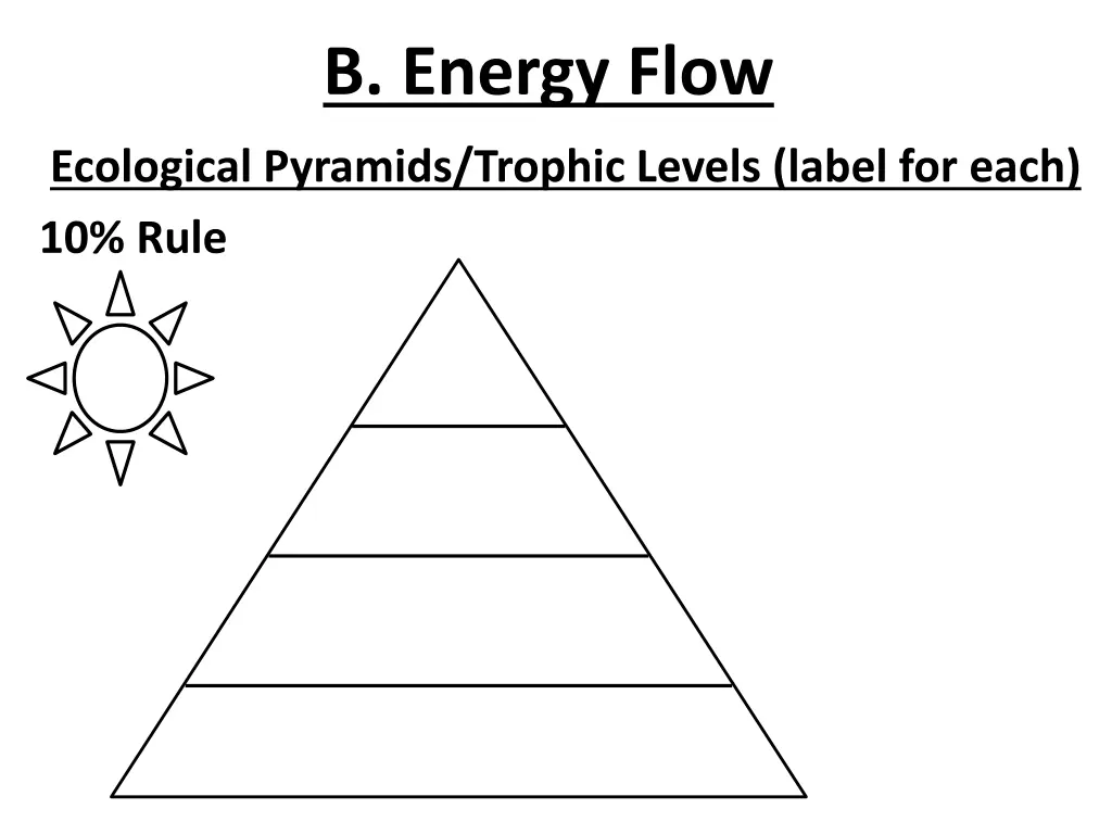 b energy flow 1