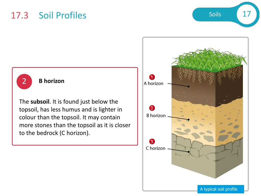 slide14