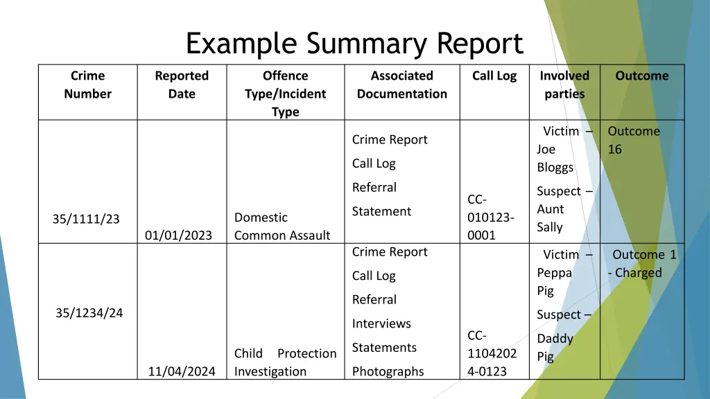 example summary report