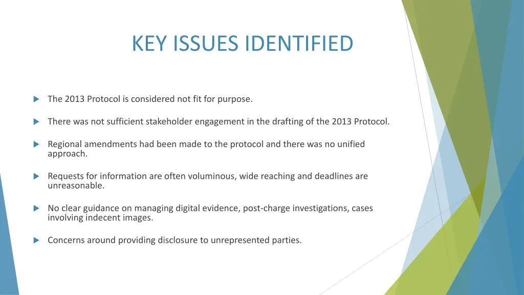 key issues identified