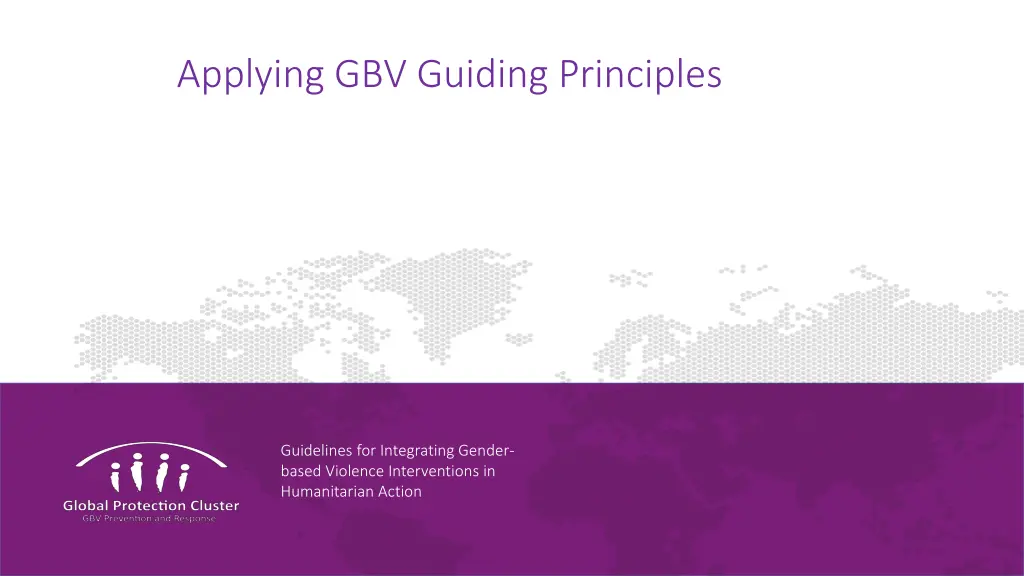 applying gbv guiding principles