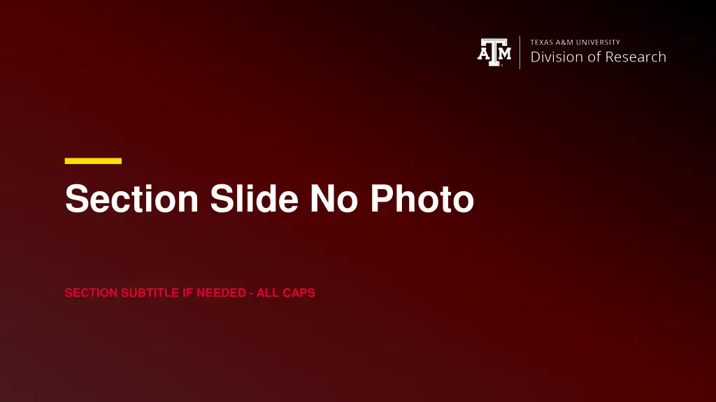 section slide no photo