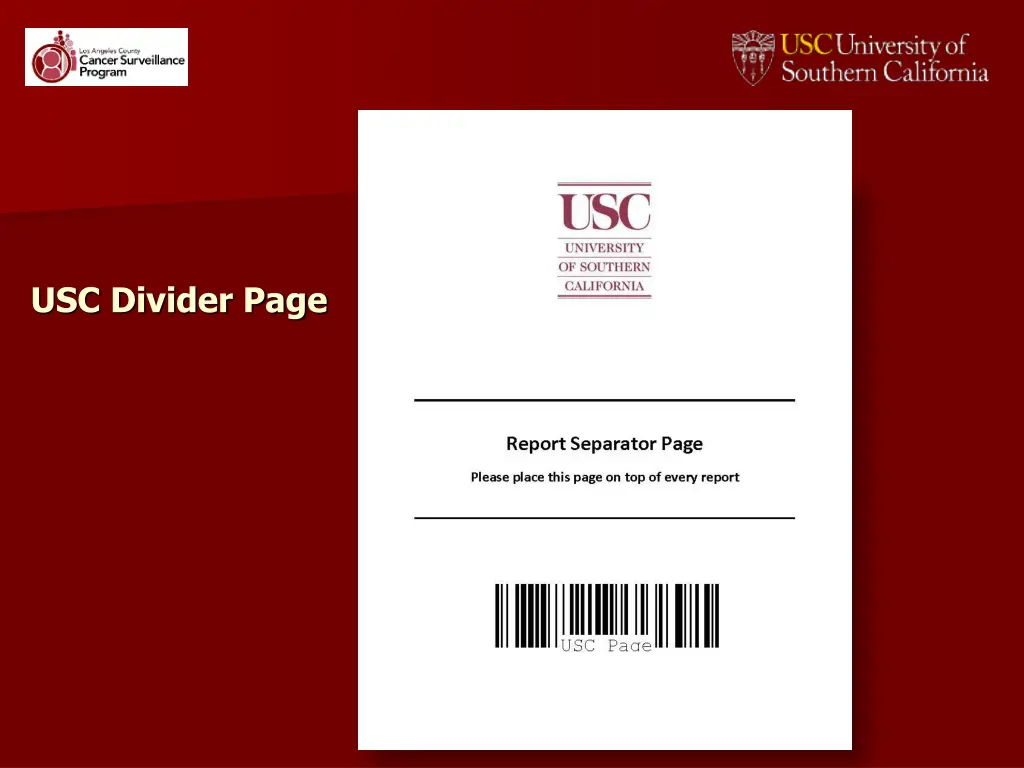 usc divider page