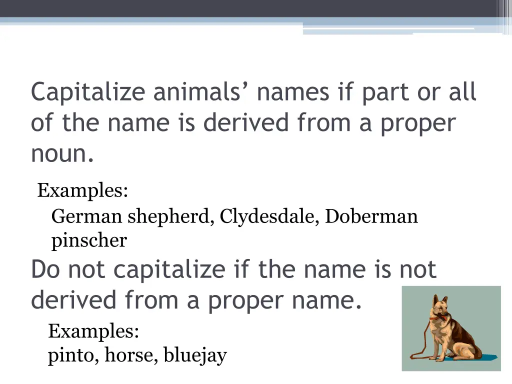 capitalize animals names if part