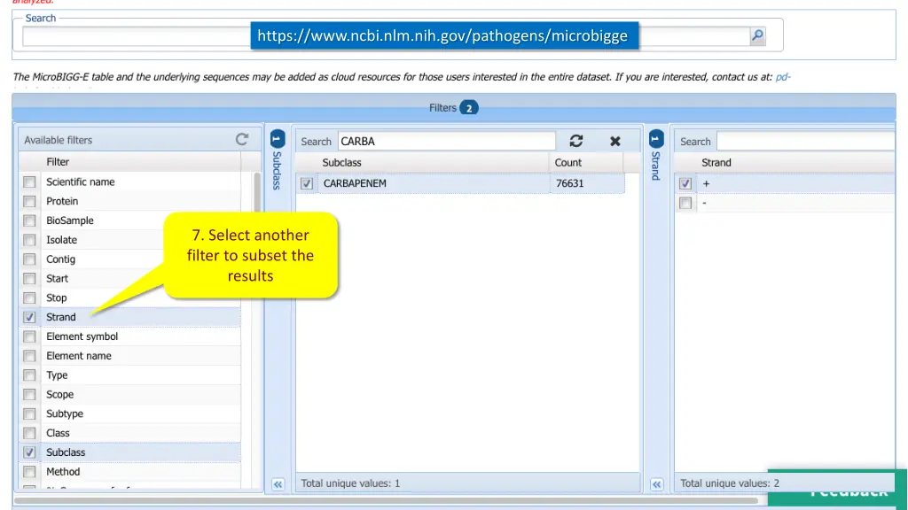 https www ncbi nlm nih gov pathogens microbigge 1