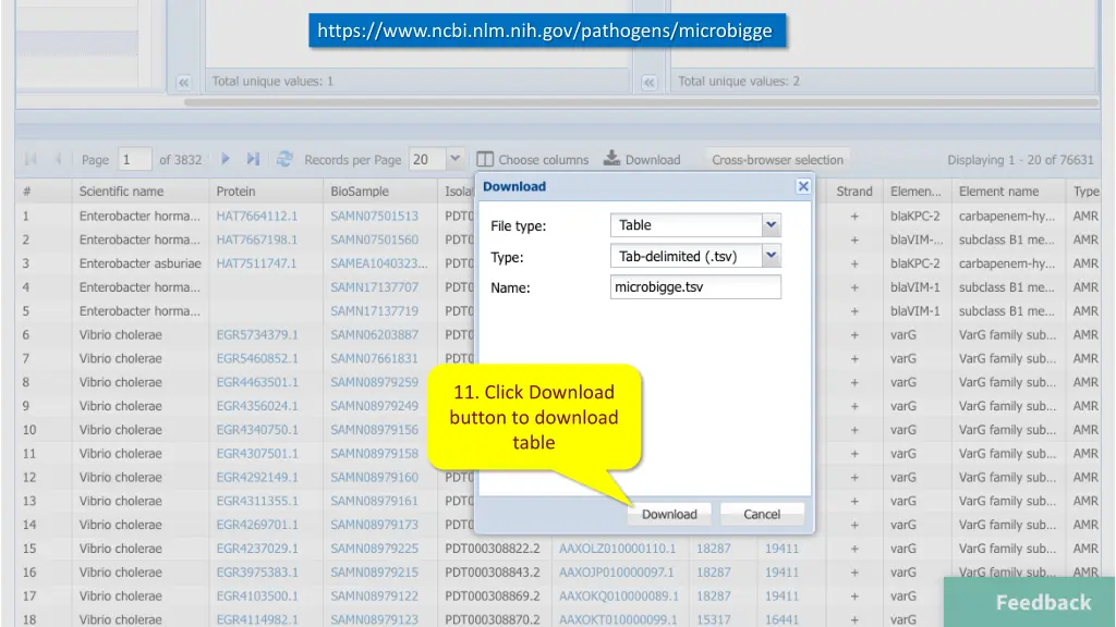 https www ncbi nlm nih gov pathogens microbigge 3