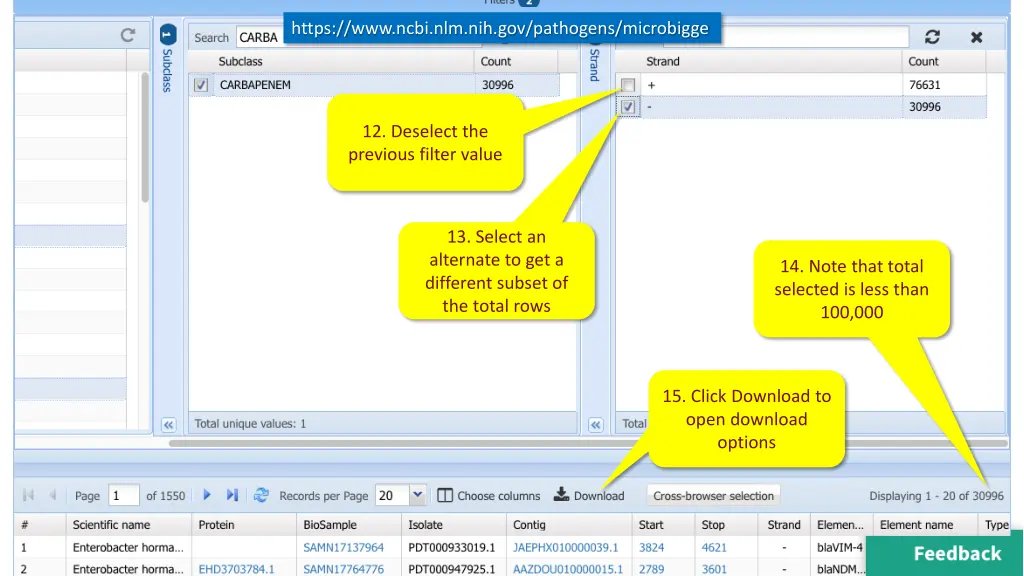 https www ncbi nlm nih gov pathogens microbigge 4