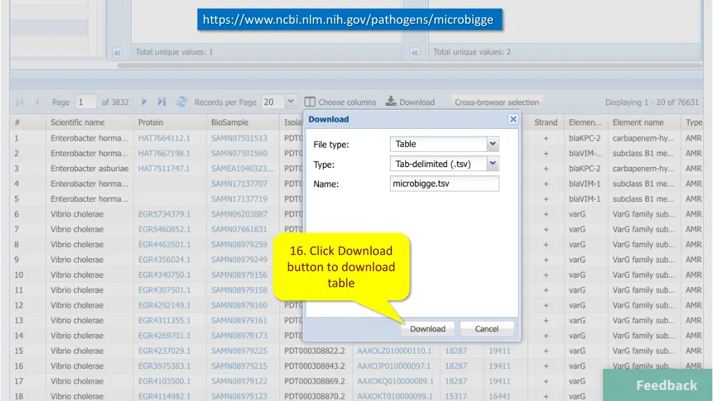 https www ncbi nlm nih gov pathogens microbigge 5