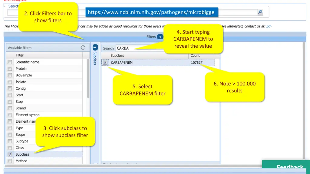 https www ncbi nlm nih gov pathogens microbigge