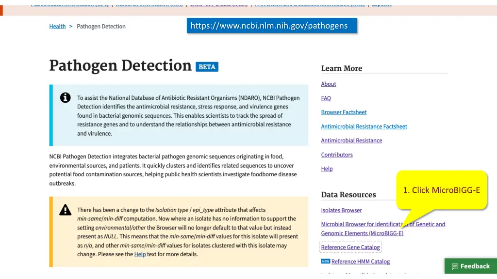 https www ncbi nlm nih gov pathogens