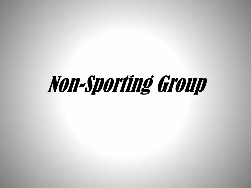 non sporting group