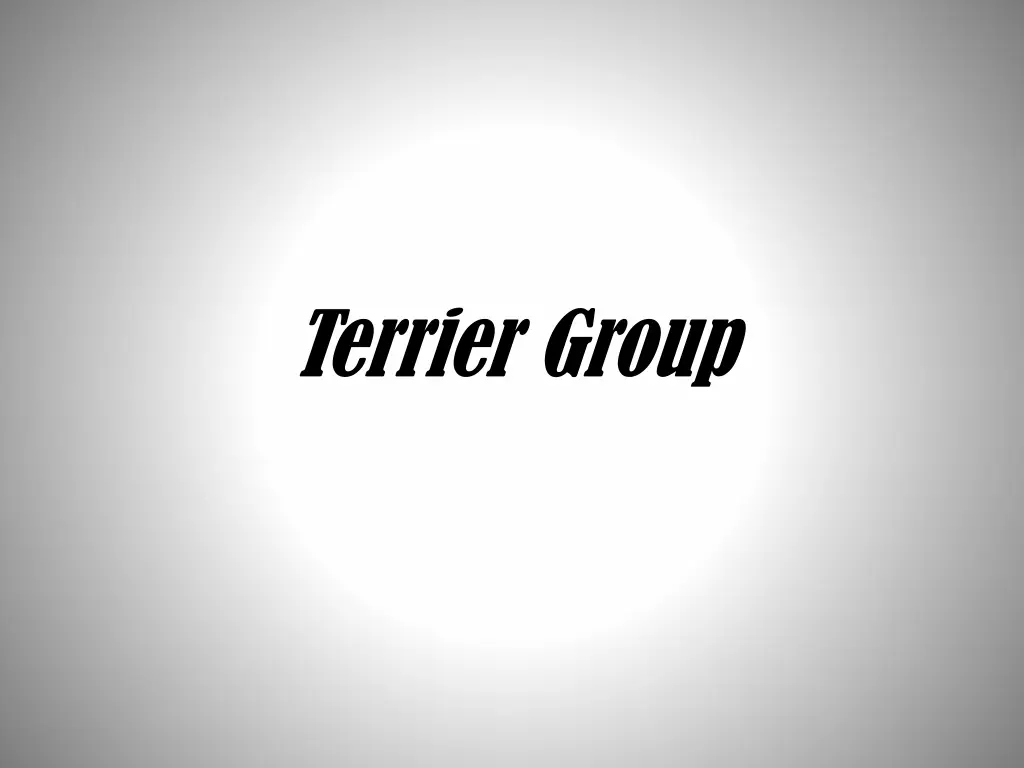 terrier group