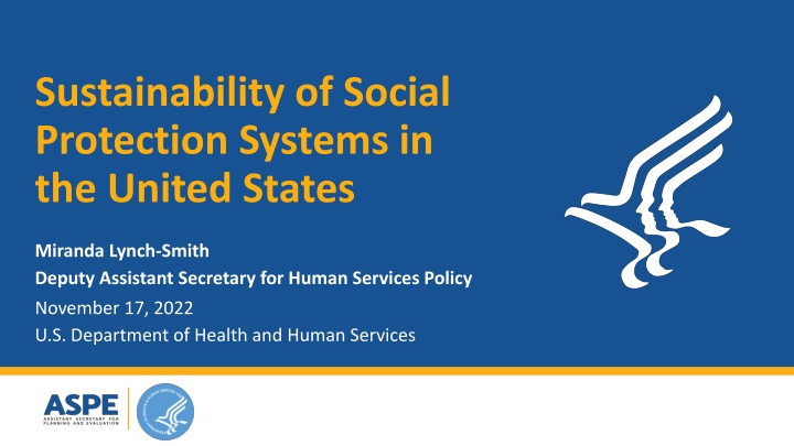 sustainability of social protection systems