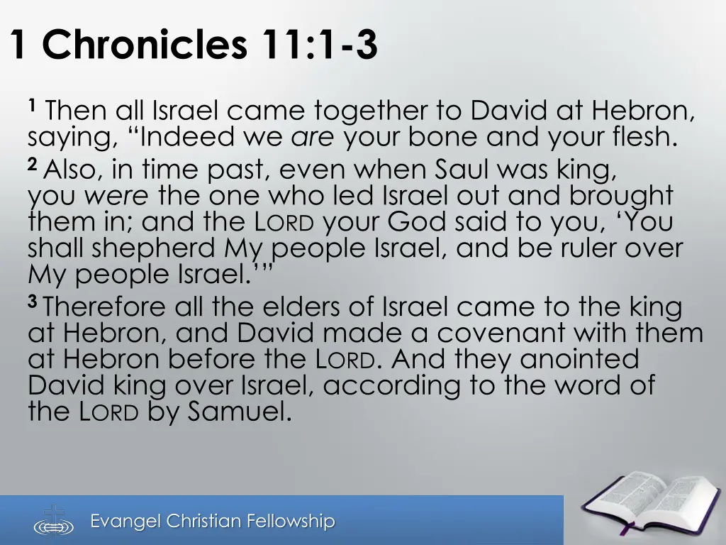 1 chronicles 11 1 3