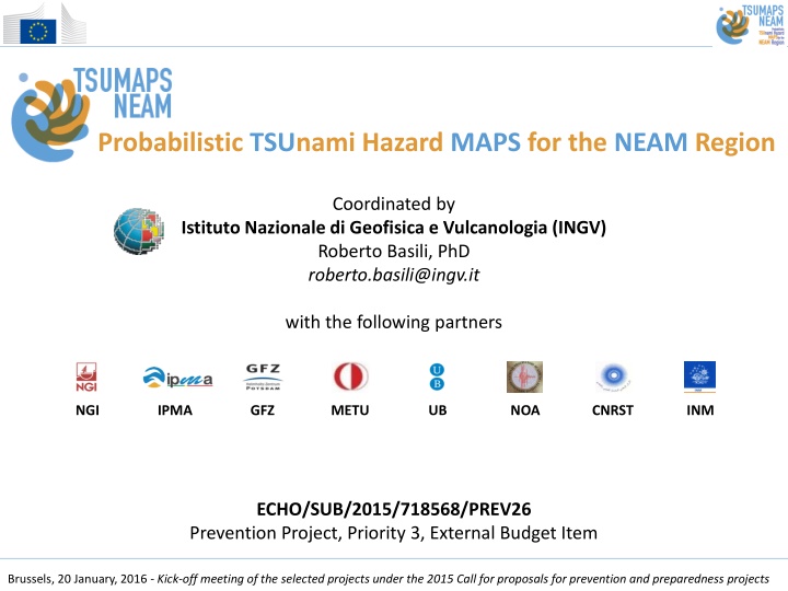 probabilistic tsunami hazard maps for the neam