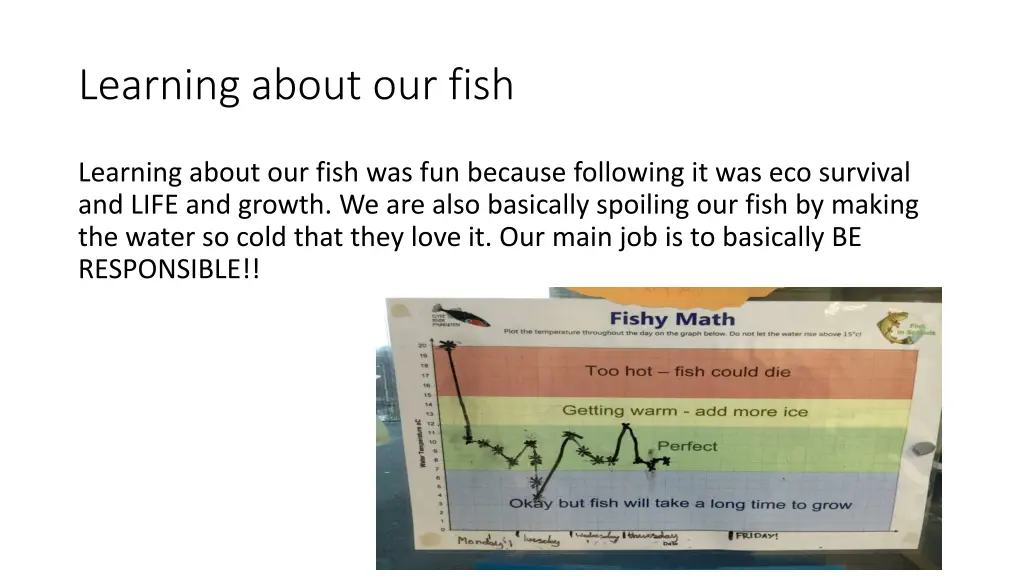 learning about our fish