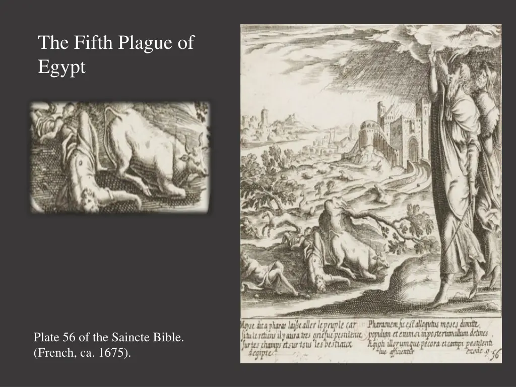 the fifth plague of egypt