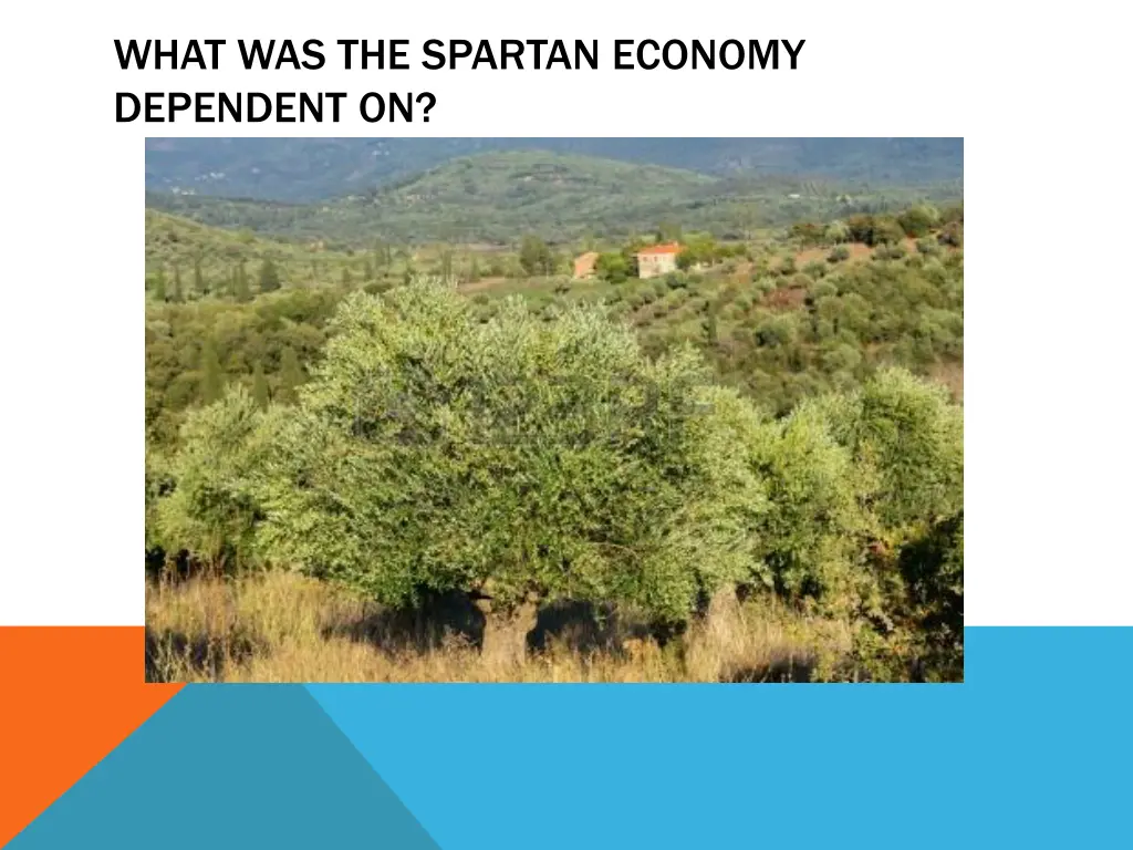 what was the spartan economy dependent on