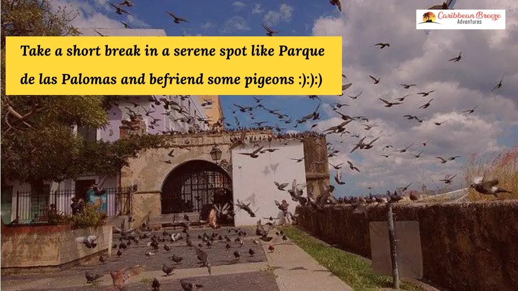 take a short break in a serene spot like parque