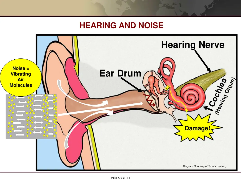 hearing and noise