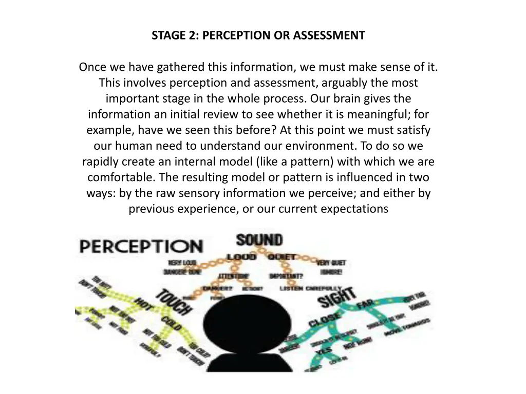 stage 2 perception or assessment