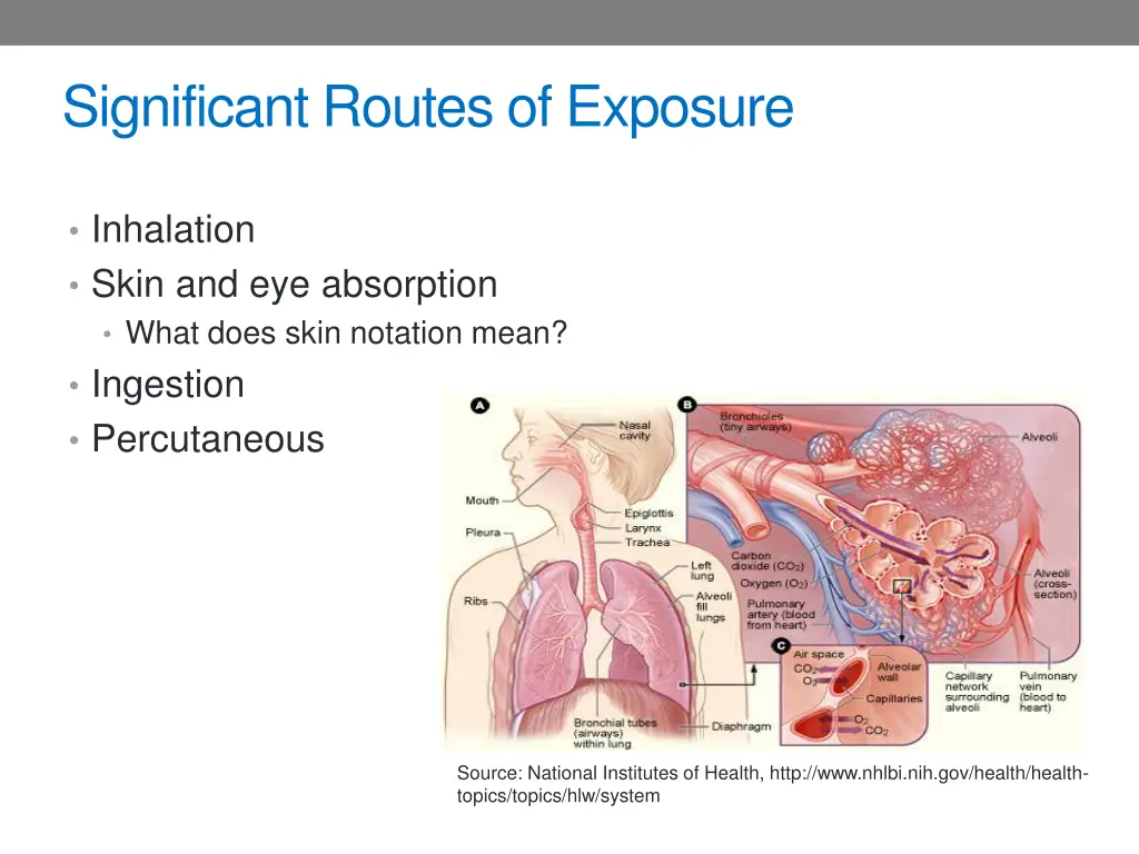 significant routes of exposure