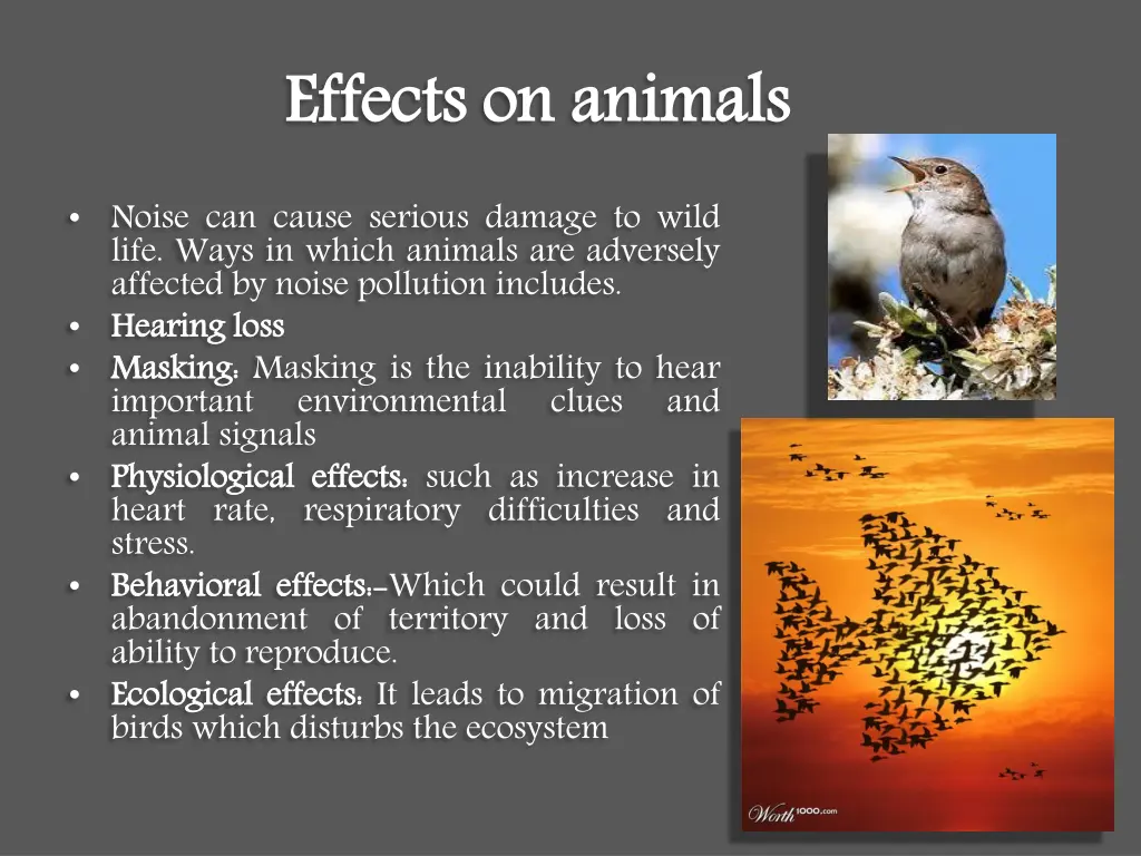 effects on animals