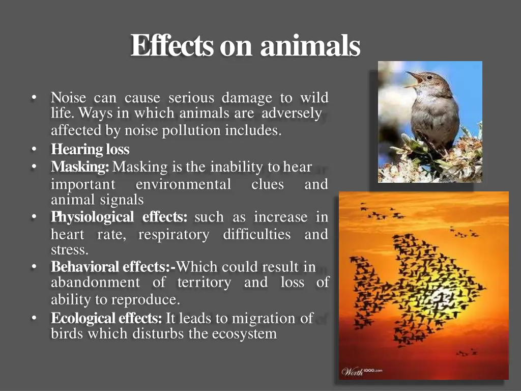 effects on animals