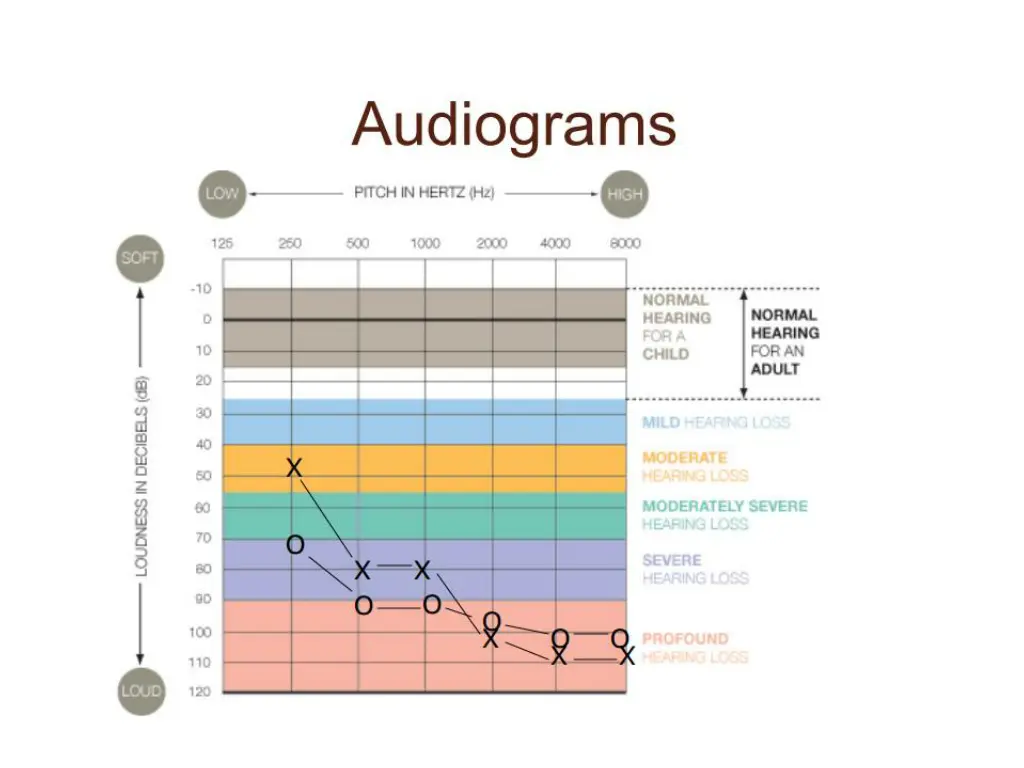 slide24