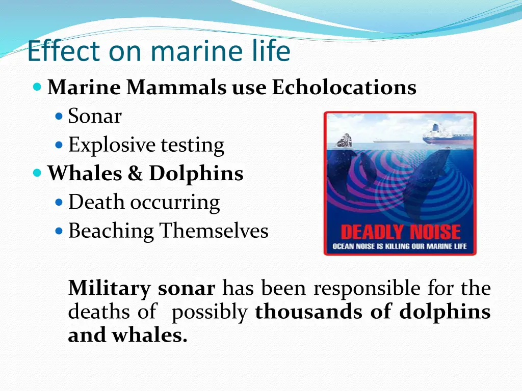 effect on marine life marine mammals