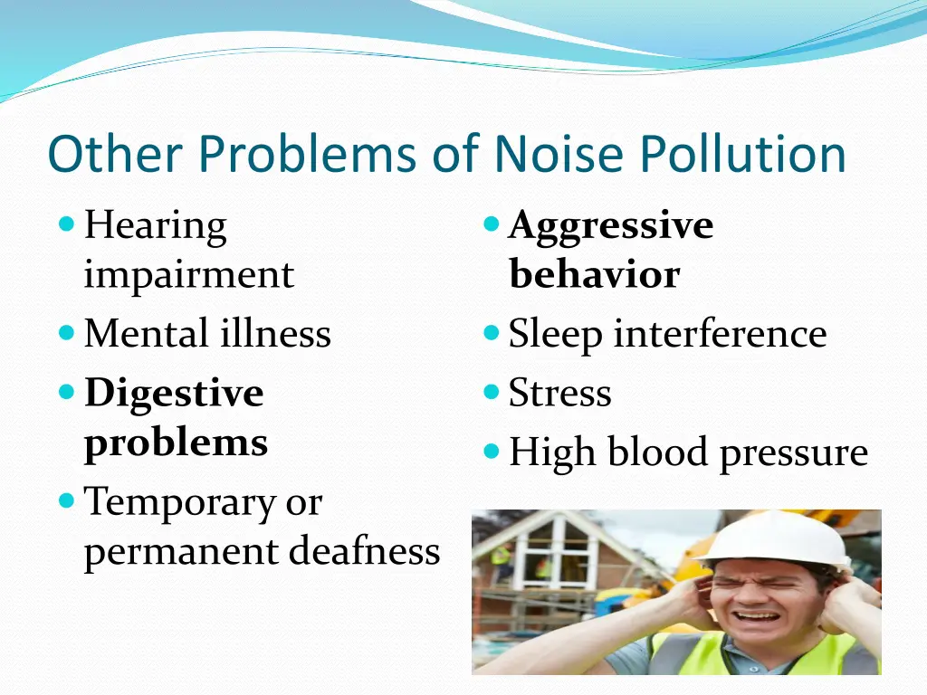 other problems of noise pollution hearing