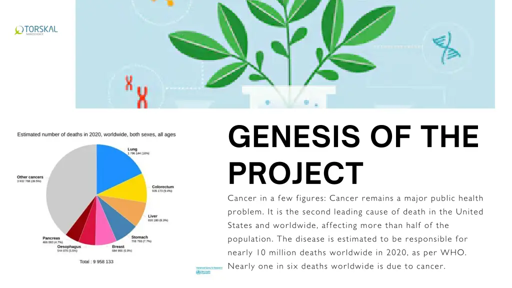 genesis of the project