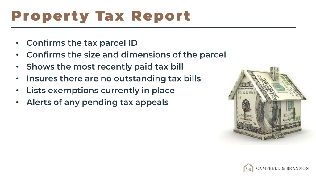 property tax report