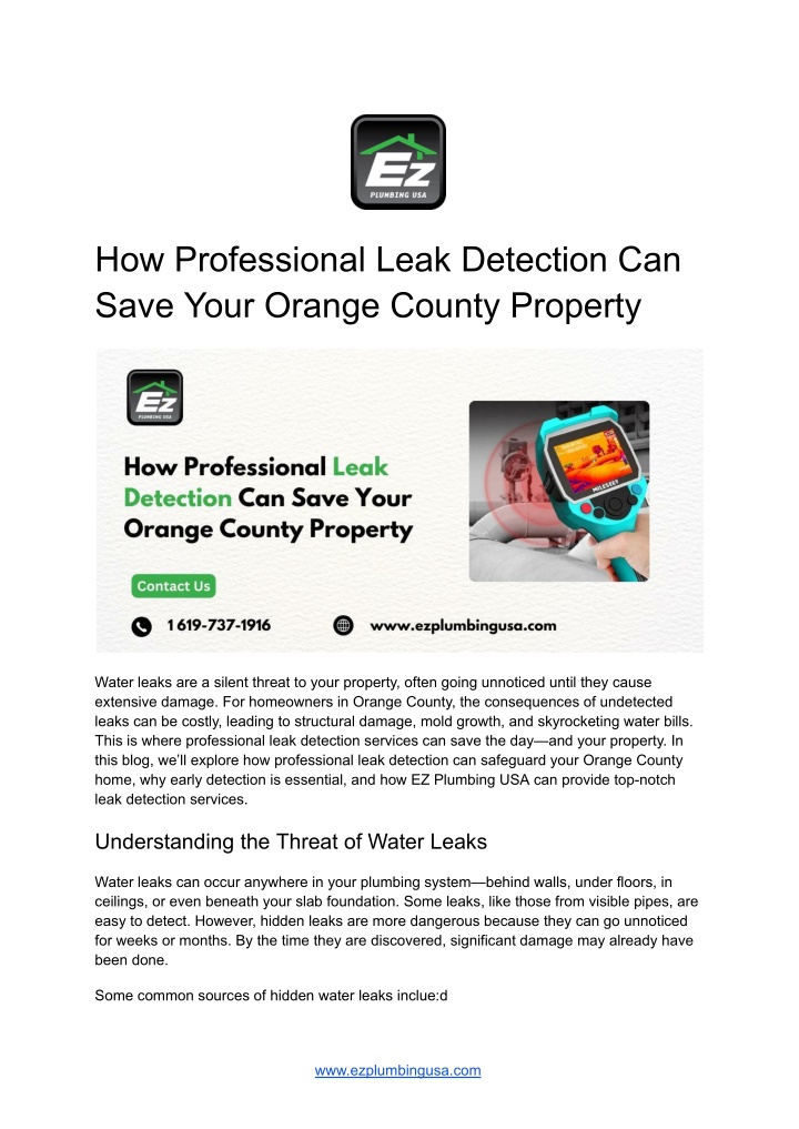 how professional leak detection can save your