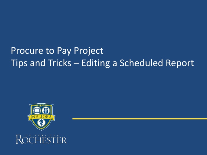 procure to pay project tips and tricks editing