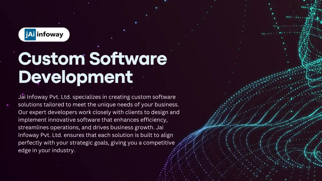 custom software development