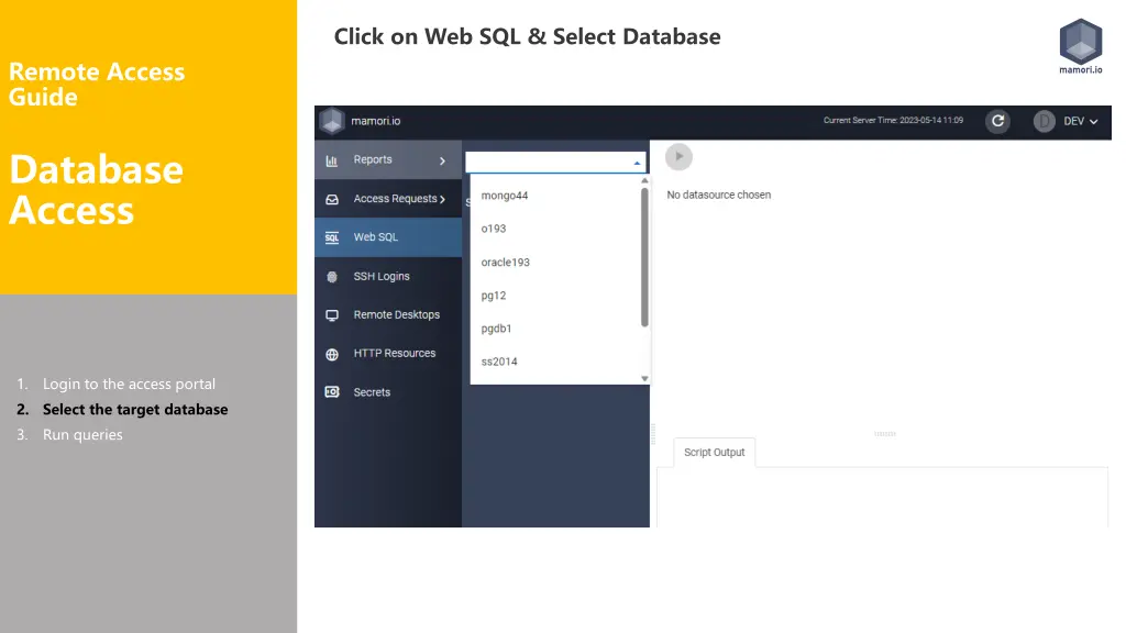 click on web sql select database