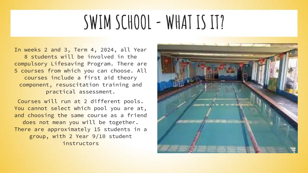 swim school what is it