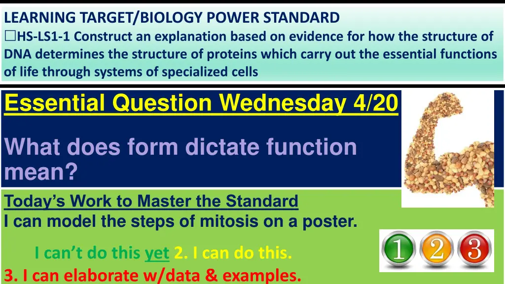 learning target biology power standard 7