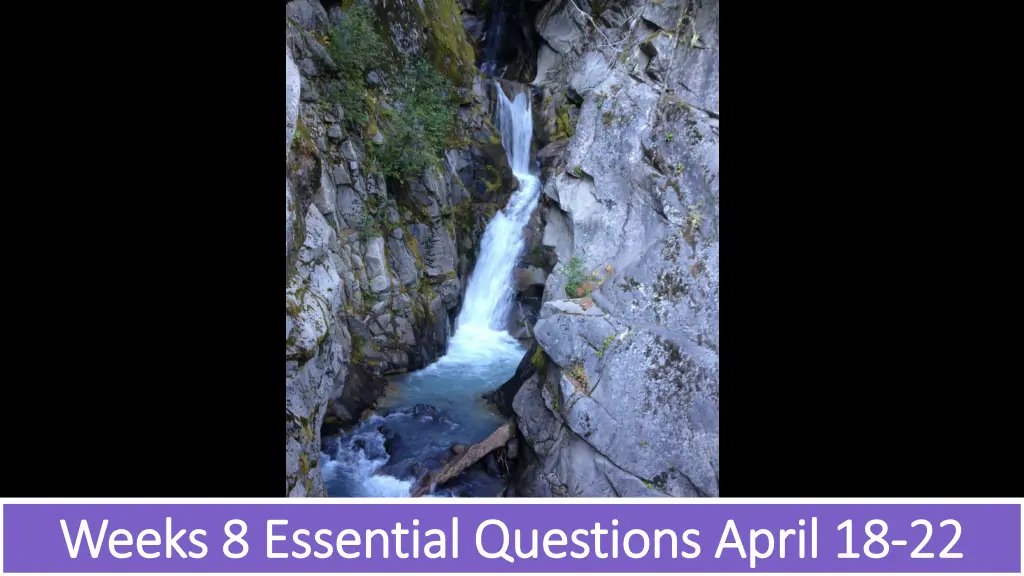 weeks 8 essential questions april 18 weeks