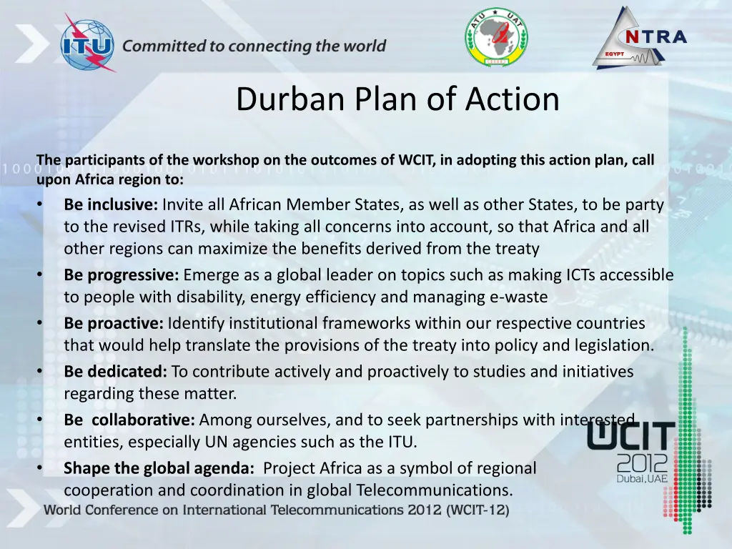 durban plan of action