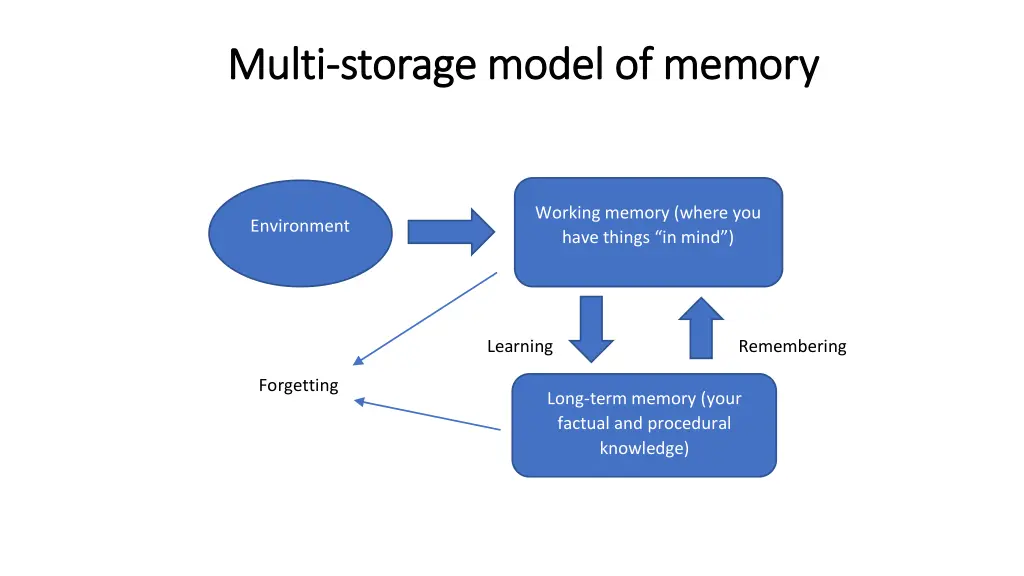 multi multi storage model of memory storage model