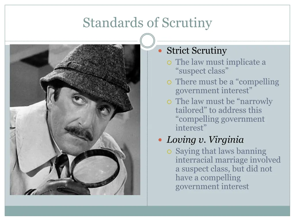 standards of scrutiny 1