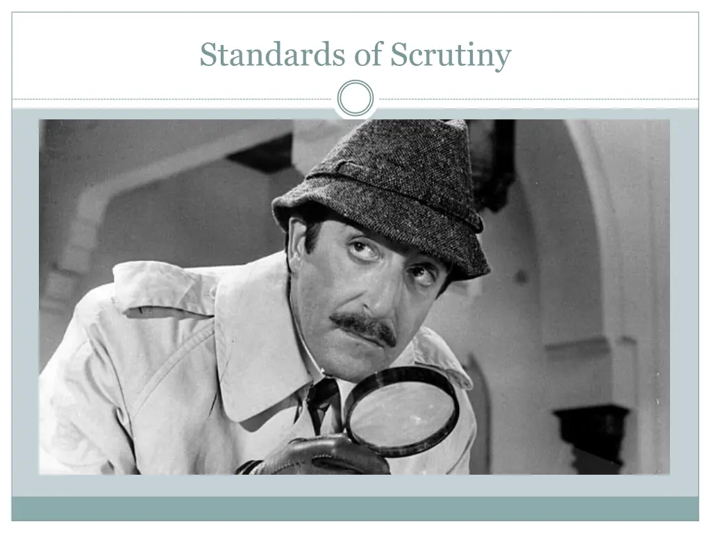 standards of scrutiny