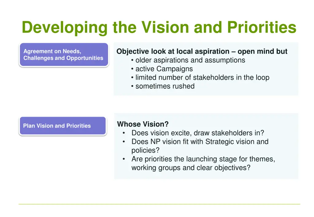 developing the vision and priorities