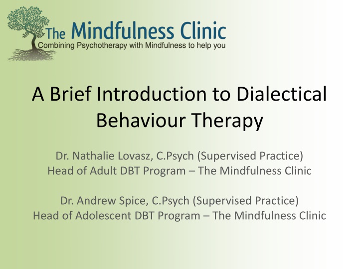 a brief introduction to dialectical behaviour