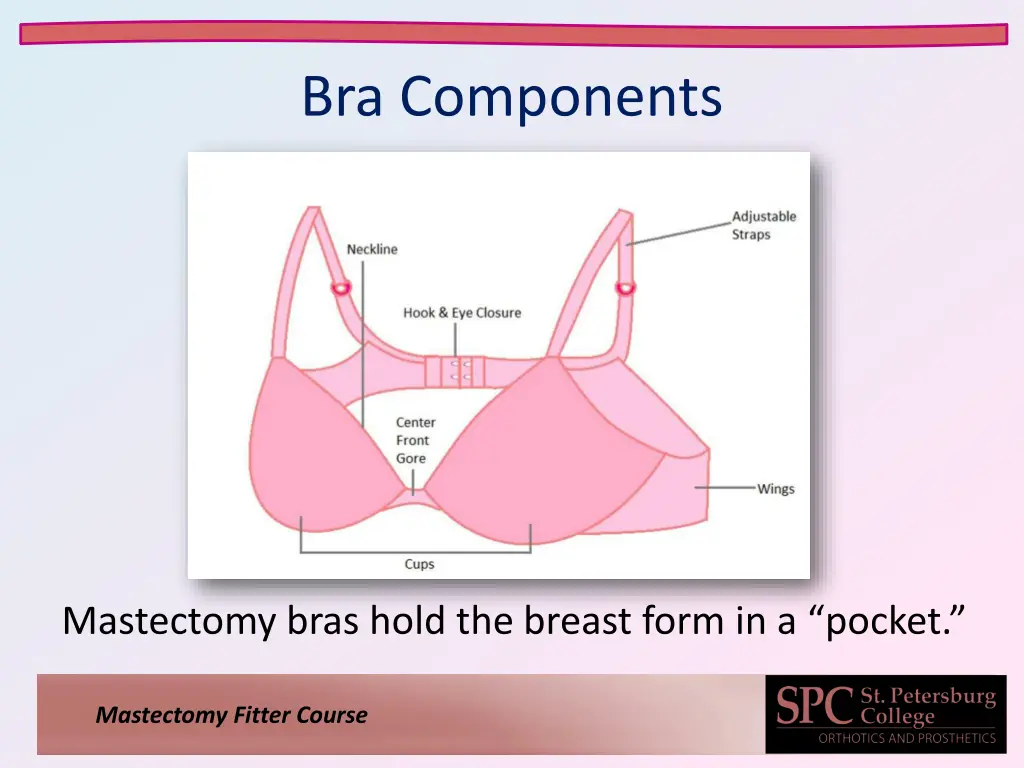 bra components