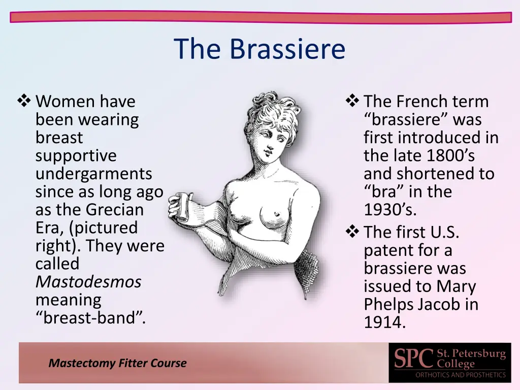 the brassiere